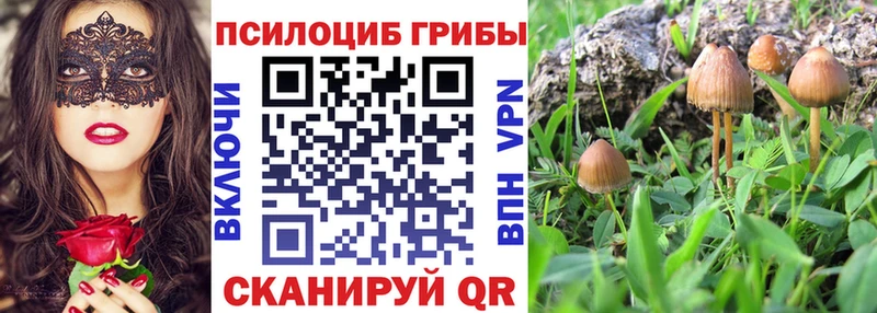 хочу Билибино гидра как войти Псилоцибиновые грибы мухоморы
