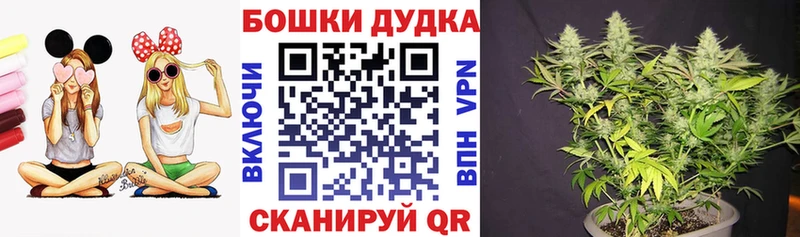 Шишки марихуана план  купить  сайты  Билибино 